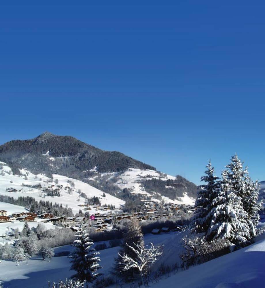 מלון Belambra Clubs Praz-Sur-Arly - L'Alisier מראה חיצוני תמונה